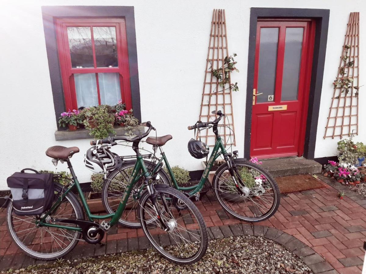 Отель Nellys Bed And Bikes Вэстпорт Экстерьер фото