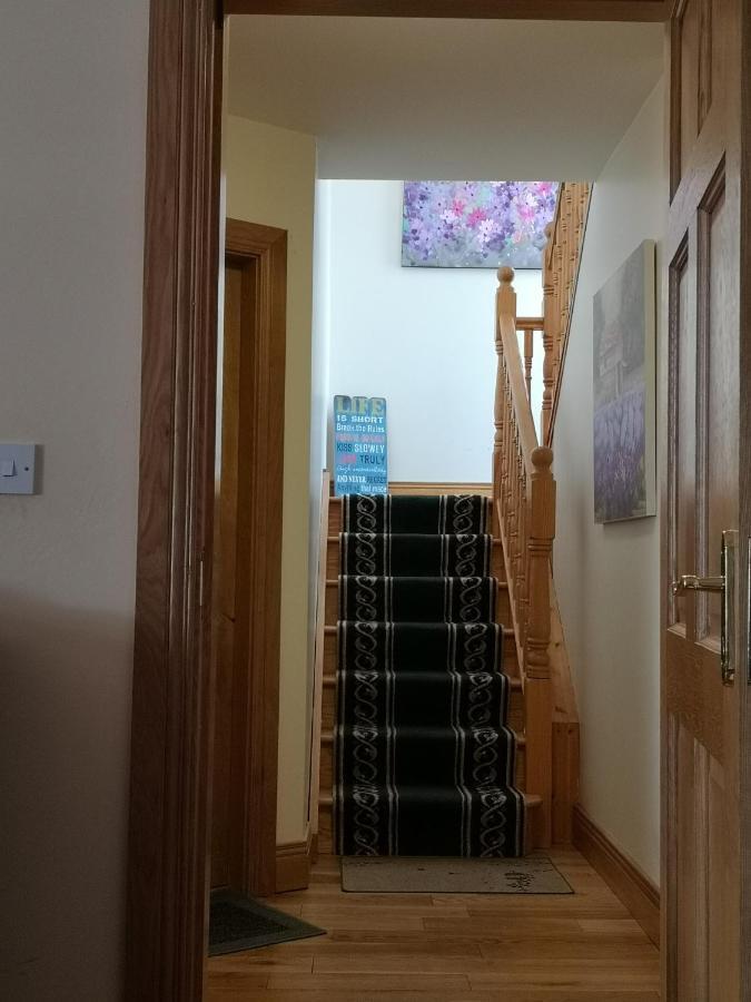 Отель Nellys Bed And Bikes Вэстпорт Экстерьер фото
